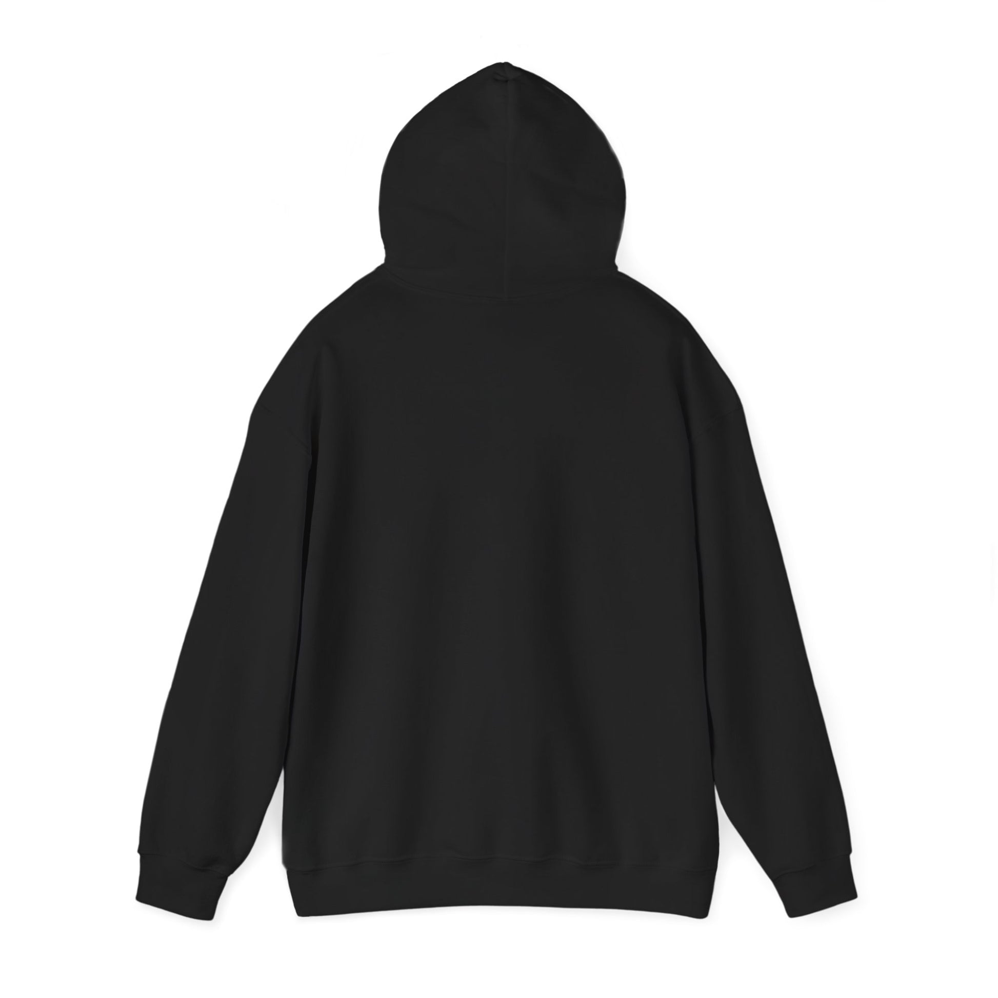 Oh Fer Cryin Out Loud Minnesota hoodie with white state design - product view 7