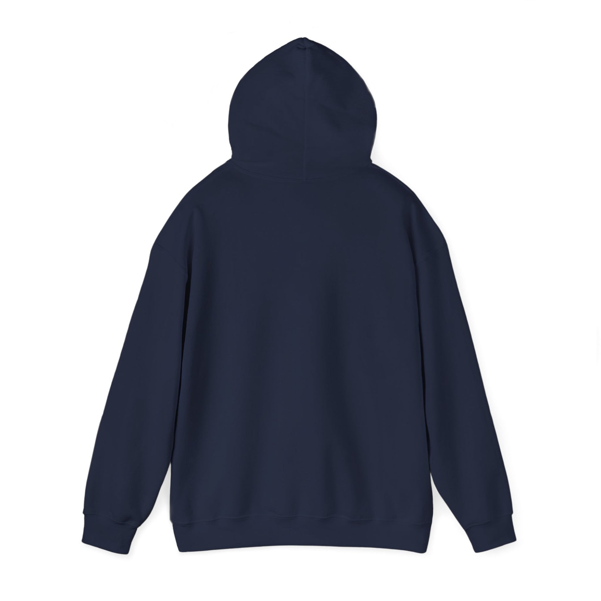Oh Fer Cryin Out Loud Minnesota hoodie with white state design - product view 19