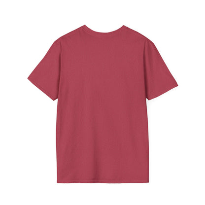 I've Been To Duluth - Minnesota Unisex T-Shirt