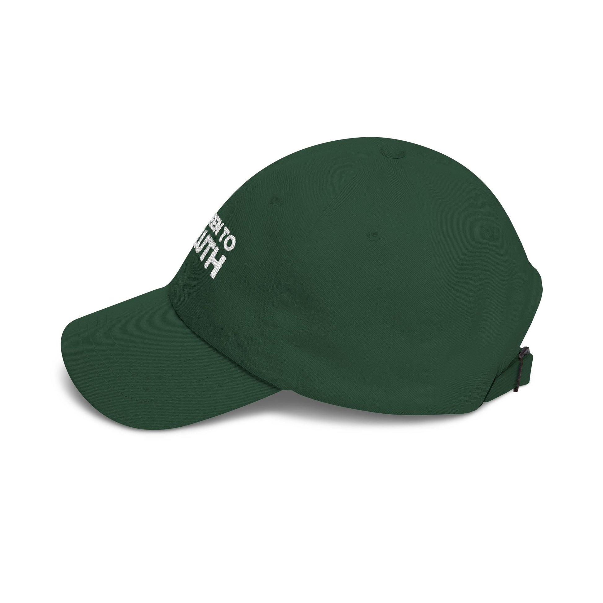 I've Been to Duluth Minnesota embroidered dad hat - product view 10